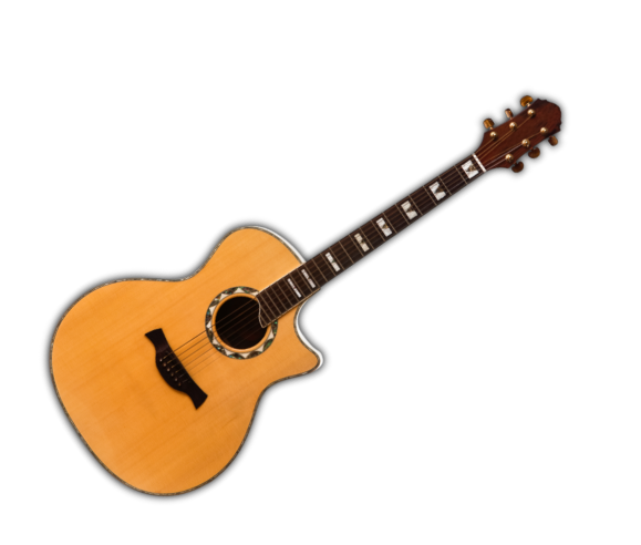 nylon string guitar